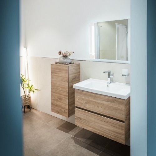 Ein modernes Badezimmer mit Holzschränken, einem eleganten Waschbecken und einer stilvollen Pflanze in der Ecke.